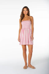 Avalon Tube Mini Dress